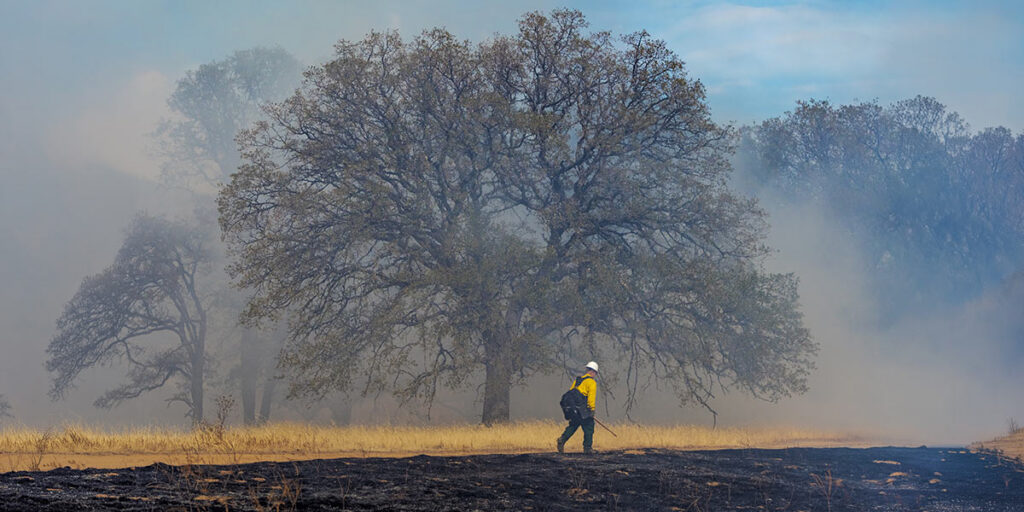 The Challenges of a Changing World