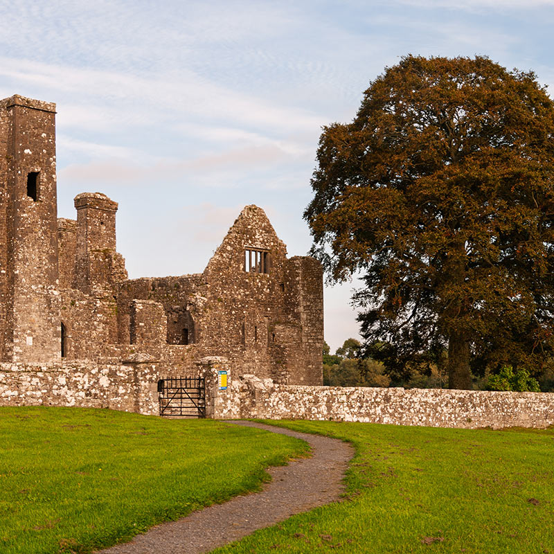 A Sacred Canopy: Oaks in Ancient Lore and Religion