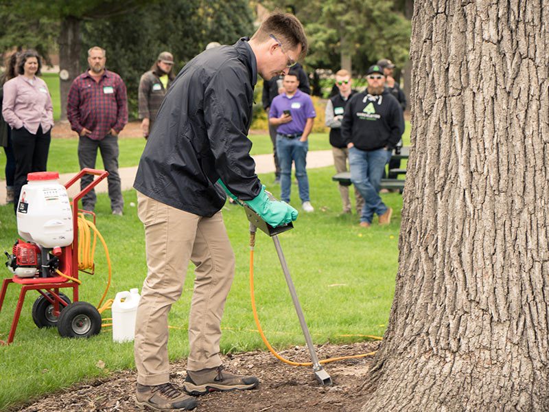 Iowa Seminar: Caring for Your Legacy Oaks