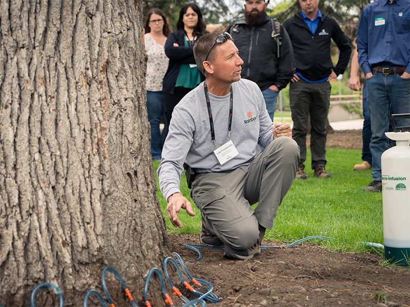 iron trunk injection