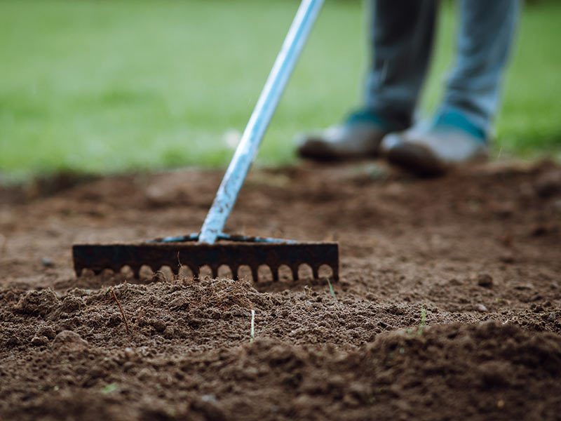 soil amendment/treatment