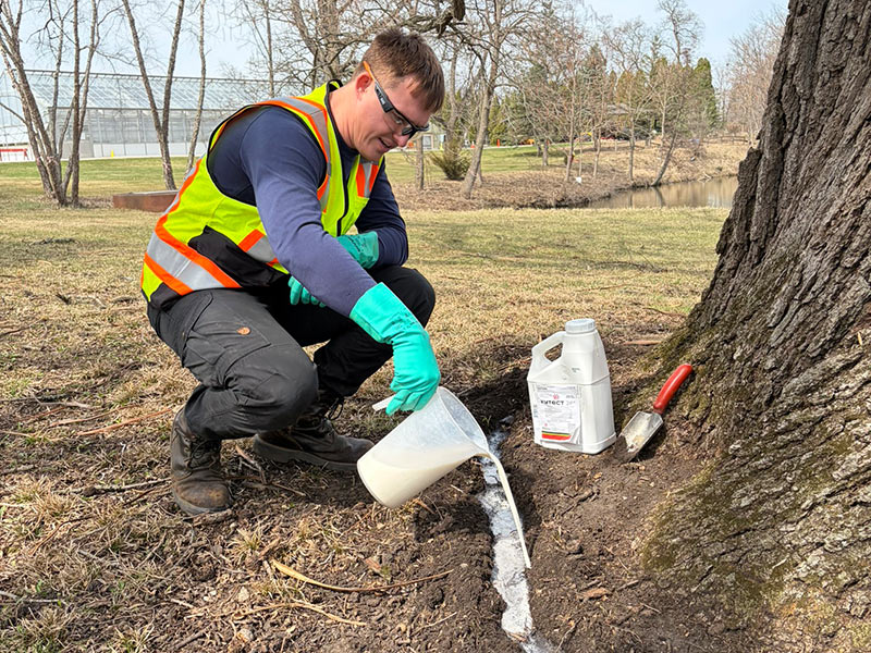 tree growth regulators
