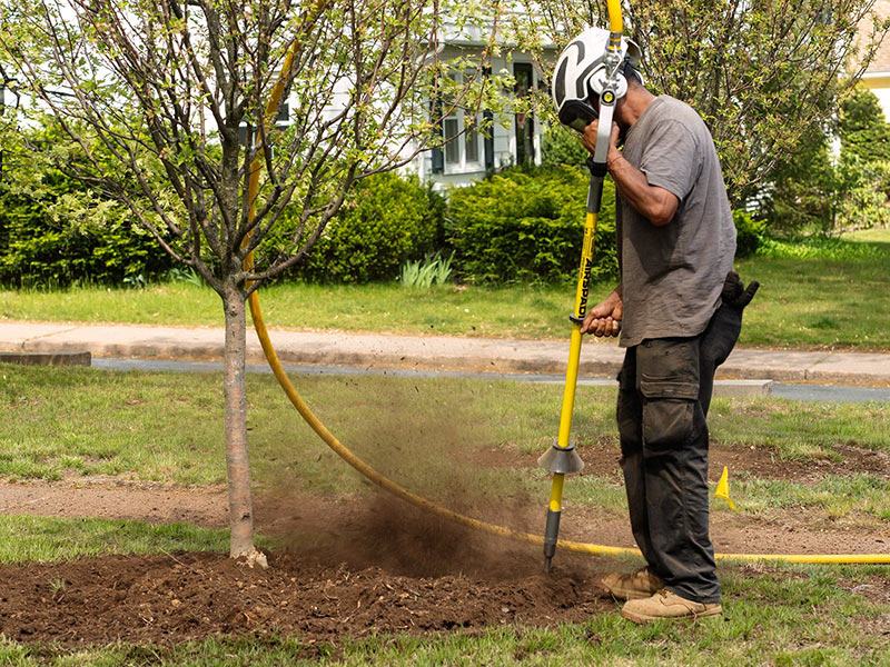 aeration & decompaction