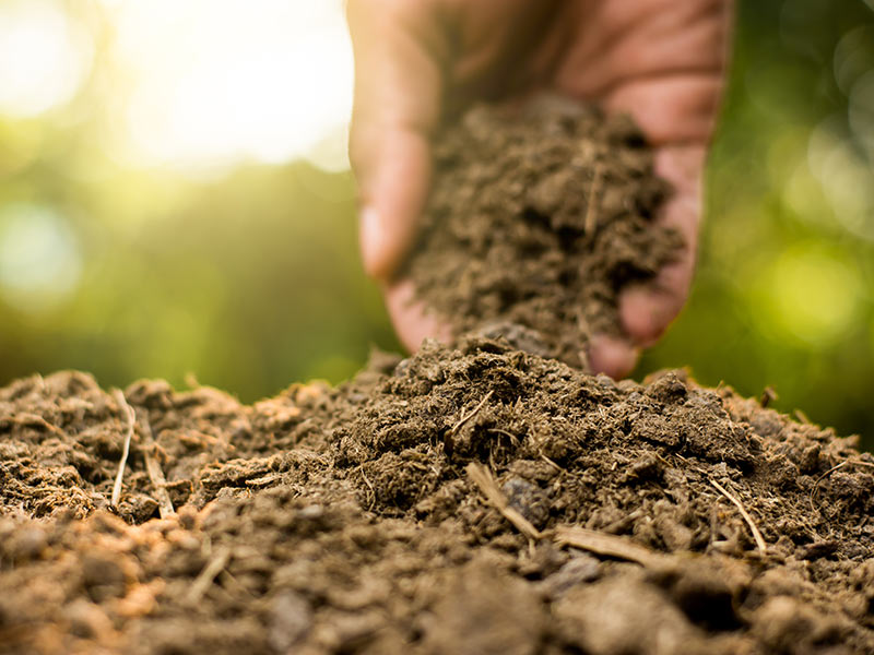 soil amendments