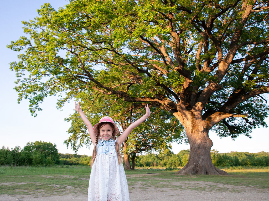 The Business of Saving Oaks